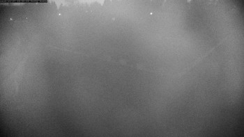 Snímek 7.11.2025 v 17:15