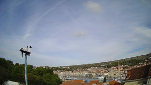 Městečko Milna - ACI Marina Milna - 15.11.2025 v 10:45 Městečko Milna - ACI Marina Milna - 15.11.2025 v 10:45