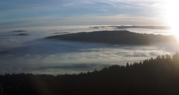 Snímek 5.11.2025 v 07:30