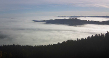 Snímek 5.11.2025 v 09:00