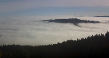 Snímek 5.11.2025 v 10:15