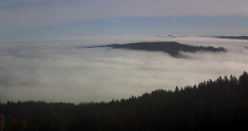 Snímek 5.11.2025 v 10:30