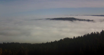 Snímek 5.11.2025 v 11:00