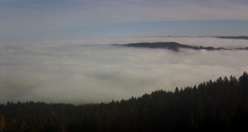 Snímek 5.11.2025 v 11:30