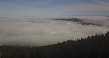 Snímek 5.11.2025 v 12:45