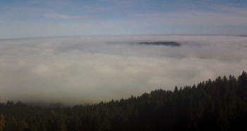 Snímek 5.11.2025 v 13:00