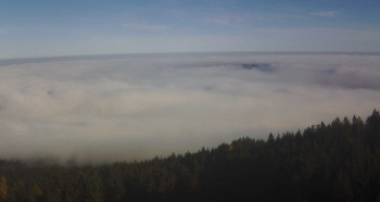 Snímek 5.11.2025 v 14:00