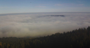 Snímek 5.11.2025 v 14:30