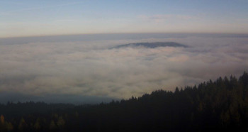 Snímek 5.11.2025 v 15:30