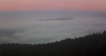 Snímek 5.11.2025 v 16:45