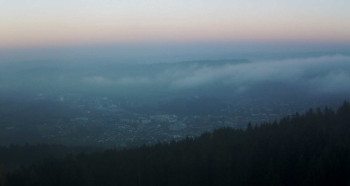 Snímek 6.11.2025 v 16:30