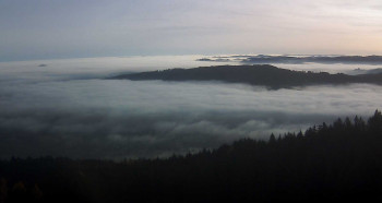 Snímek 13.11.2025 v 08:30