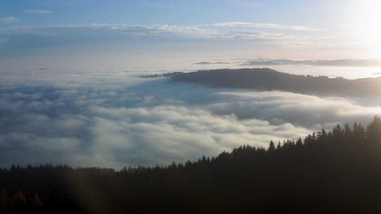 Snímek 16.11.2025 v 08:00