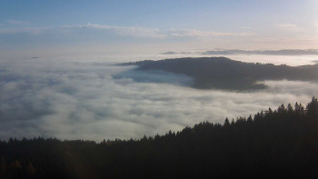 Snímek 16.11.2025 v 08:30