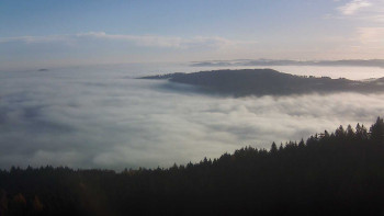 Snímek 16.11.2025 v 08:45