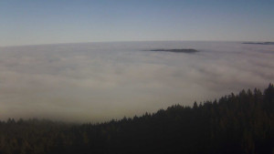 Město Sušice - Panorama - 19.12.2025 v 13:45 Město Sušice - Panorama - 19.12.2025 v 13:45