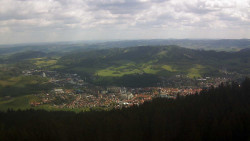 Panorama