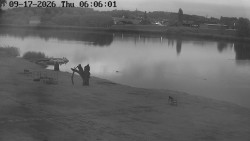 Brodský Pond