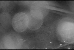 Panorama severozápad