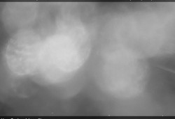 Panorama severozápad