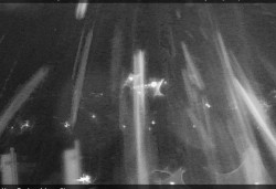 Panorama severozápad