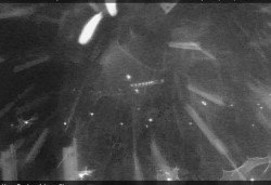 Panorama severozápad