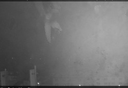 Panorama severozápad