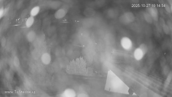 Snímek    27.10.2025 v 19:15