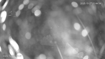 Snímek    27.10.2025 v 21:45