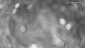 Snímek    28.10.2025 v 01:15