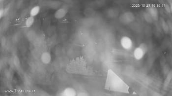 Snímek    28.10.2025 v 19:15