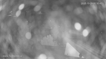 Snímek    29.10.2025 v 05:30