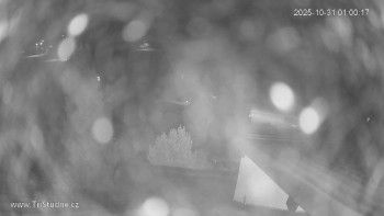 Snímek    31.10.2025 v 01:00