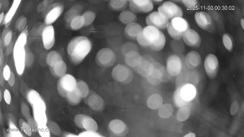 Snímek    3.11.2025 v 00:30