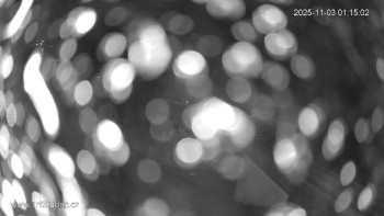 Snímek    3.11.2025 v 01:15