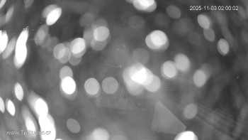 Snímek    3.11.2025 v 02:00