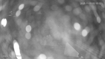 Snímek    3.11.2025 v 03:15