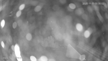 Snímek    3.11.2025 v 03:30