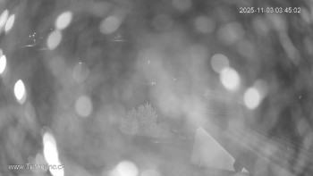 Snímek    3.11.2025 v 03:45