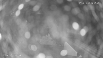 Snímek    3.11.2025 v 04:15