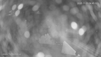 Snímek    3.11.2025 v 04:45