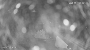 Snímek    3.11.2025 v 05:00