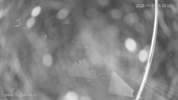 Snímek 3.11.2025 v 05:30