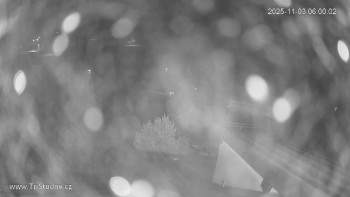 Snímek    3.11.2025 v 06:00