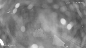 Snímek    3.11.2025 v 06:15