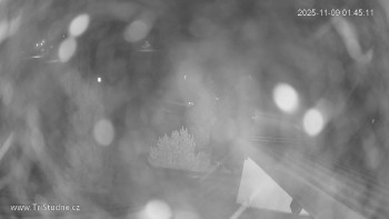 Snímek 9.11.2025 v 01:45