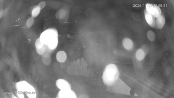 Snímek 17.11.2025 v 20:00