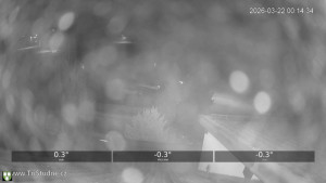 Obec Tři Studně - Parkoviště - 22.3.2026 v 00:15 Obec Tři Studně - Parkoviště - 22.3.2026 v 00:15