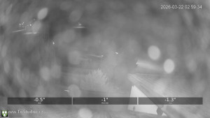 Obec Tři Studně - Parkoviště - 22.3.2026 v 03:00 Obec Tři Studně - Parkoviště - 22.3.2026 v 03:00