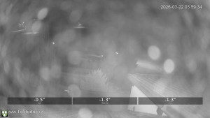 Obec Tři Studně - Parkoviště - 22.3.2026 v 04:00 Obec Tři Studně - Parkoviště - 22.3.2026 v 04:00